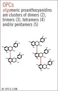 OPCS Diagram: OPCs: oligomeric proanthocyanidins are clusters of dimers (2), trimers (3), tetramers (4) and/or pentamers (5)